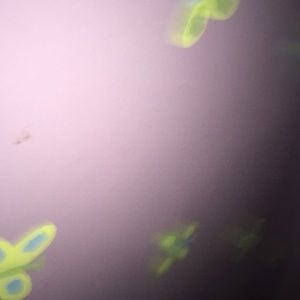 Meet your Posher, Stacy